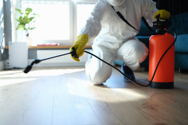 Reliable Blood Cleanup contractor in Grubville, MO by Trauma Clean Pros